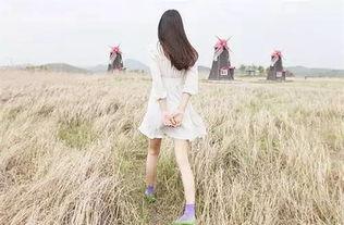 娱乐吃瓜酱背影图片高清