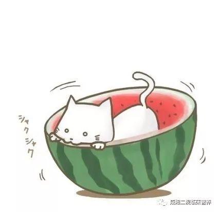 娱乐吃瓜群头像图片大全