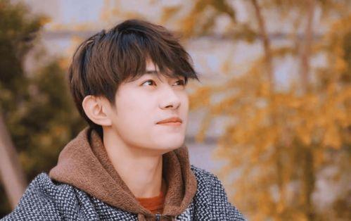 吃瓜人娱乐圈百度百科,揭秘吃瓜人百科背后的明星故事